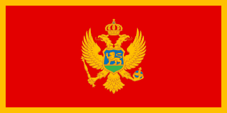 Montenegro flag