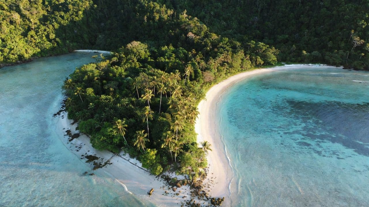 Aerial view of Vanuatu tropical coastline representing citizenship by investment program